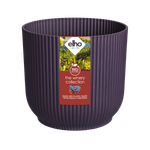 the winery collection 16cm deep purple